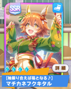 SSRマチカネフクキタル